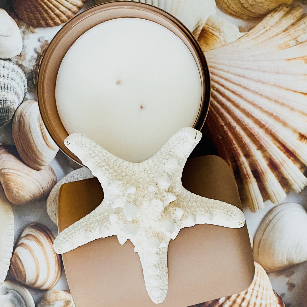 Beach Day Candle Scent of Coconut Sandalwood Musk Vanilla-0